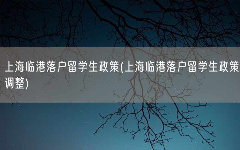 上海临港落户留学生政策(上海临港落户留学生政策调整)