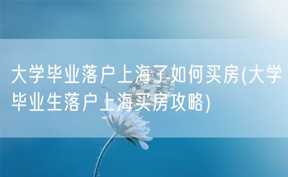 大学毕业落户上海了如何买房(大学毕业生落户上海买房攻略)