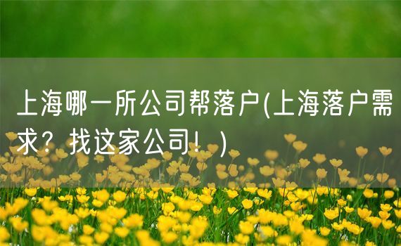 上海哪一所公司帮落户(上海落户需求？找这家公司！)