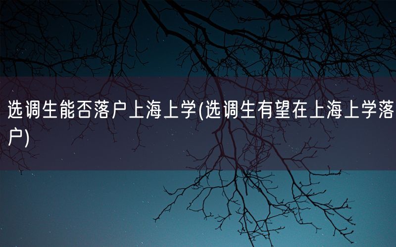 选调生能否落户上海上学(选调生有望在上海上学落户)