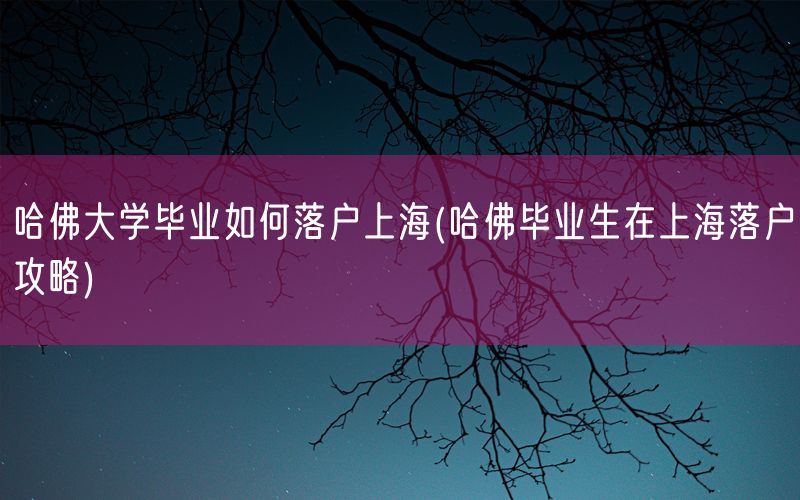 哈佛大学毕业如何落户上海(哈佛毕业生在上海落户攻略)