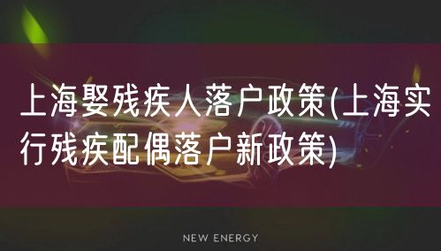 上海娶残疾人落户政策(上海实行残疾配偶落户新政策)