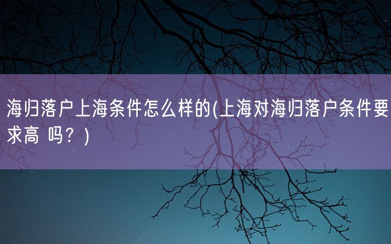 海归落户上海条件怎么样的(上海对海归落户条件要求高 吗？)