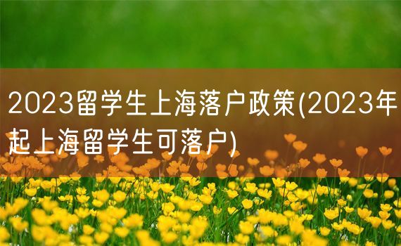 2023留学生上海落户政策(2023年起上海留学生可落户)