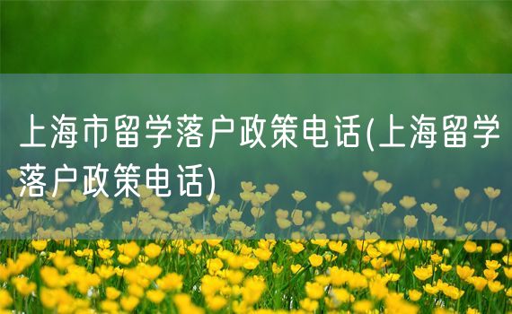 上海市留学落户政策电话(上海留学落户政策电话)