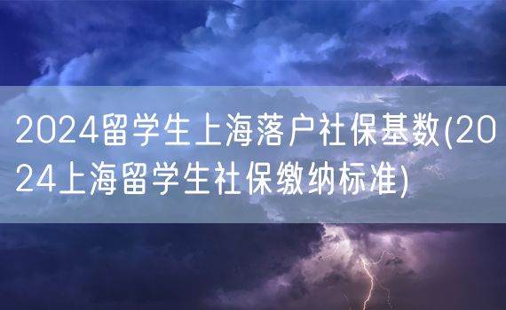 2024留学生上海落户社保基数(2024上海留学生社保缴纳标准)