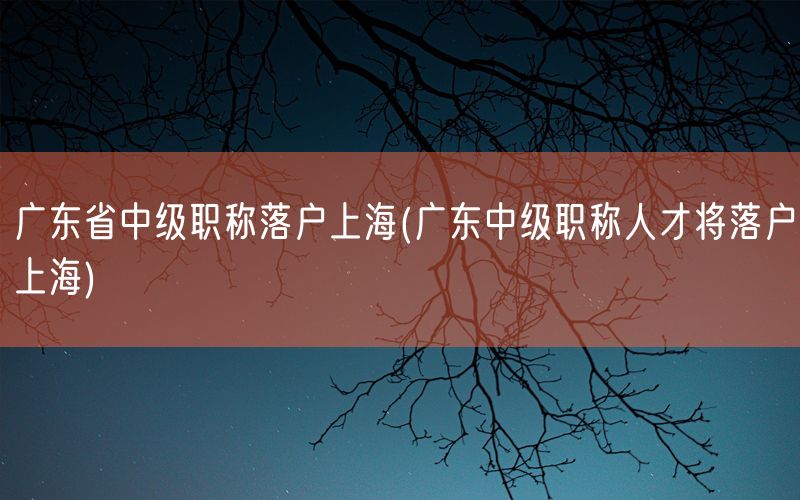 广东省中级职称落户上海(广东中级职称人才将落户上海)