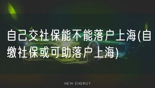 自己交社保能不能落户上海(自缴社保或可助落户上海)