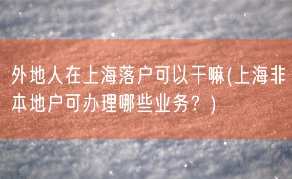 外地人在上海落户可以干嘛(上海非本地户可办理哪些业务？)