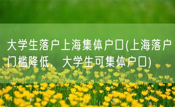 大学生落户上海集体户口(上海落户门槛降低，大学生可集体户口)