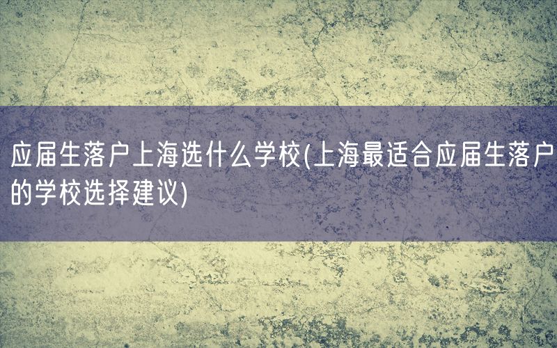 应届生落户上海选什么学校(上海最适合应届生落户的学校选择建议)