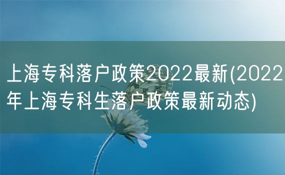 上海专科落户政策2022最新(2022年上海专科生落户政策最新动态)