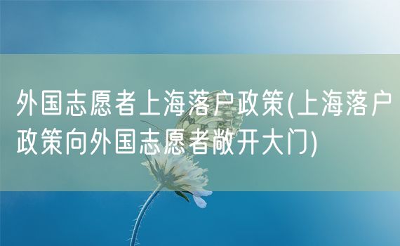 外国志愿者上海落户政策(上海落户政策向外国志愿者敞开大门)