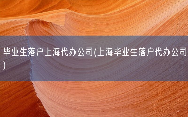 毕业生落户上海代办公司(上海毕业生落户代办公司)