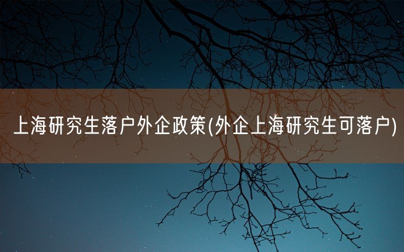 上海研究生落户外企政策(外企上海研究生可落户)