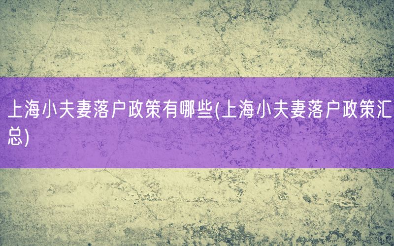 上海小夫妻落户政策有哪些(上海小夫妻落户政策汇总)