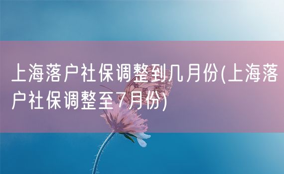 上海落户社保调整到几月份(上海落户社保调整至7月份)