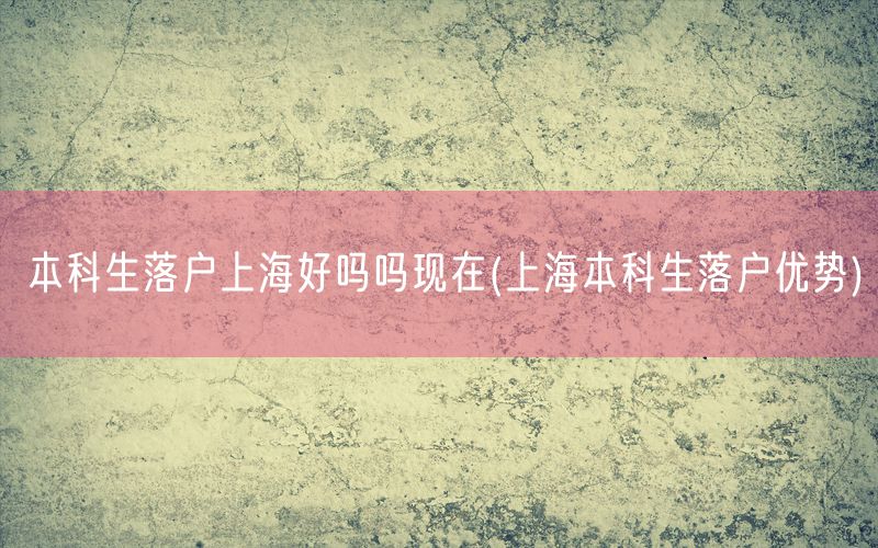 本科生落户上海好吗吗现在(上海本科生落户优势)