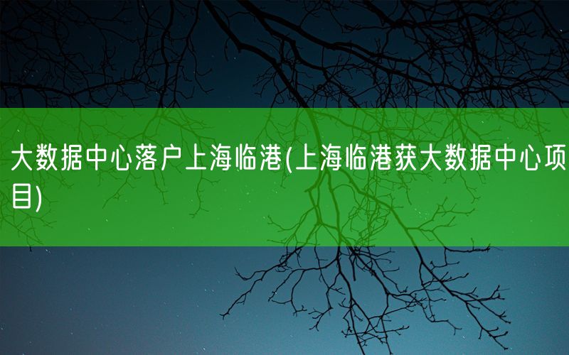 大数据中心落户上海临港(上海临港获大数据中心项目)