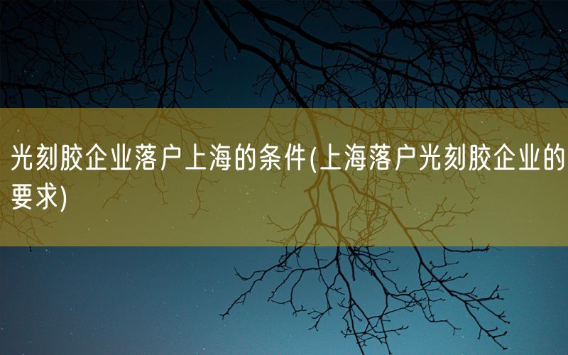 光刻胶企业落户上海的条件(上海落户光刻胶企业的要求)