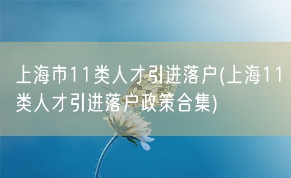 上海市11类人才引进落户(上海11类人才引进落户政策合集)