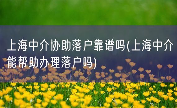 上海中介协助落户靠谱吗(上海中介能帮助办理落户吗)