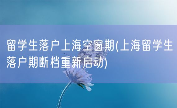 留学生落户上海空窗期(上海留学生落户期断档重新启动)