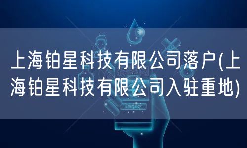 上海铂星科技有限公司落户(上海铂星科技有限公司入驻重地)