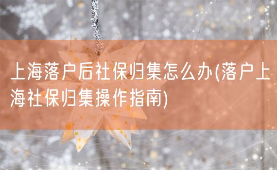 上海落户后社保归集怎么办(落户上海社保归集操作指南)