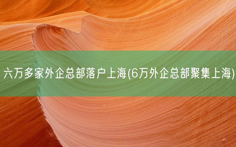 六万多家外企总部落户上海(6万外企总部聚集上海)