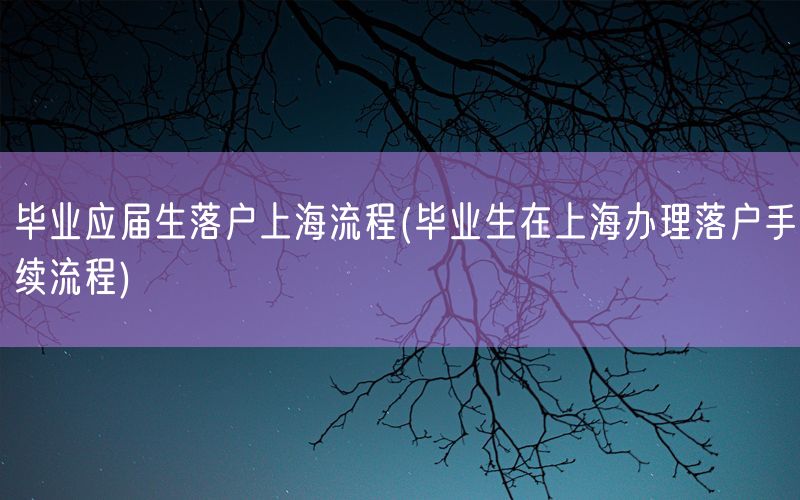 毕业应届生落户上海流程(毕业生在上海办理落户手续流程)