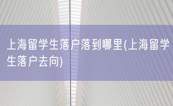 上海留学生落户落到哪里(上海留学生落户去向)