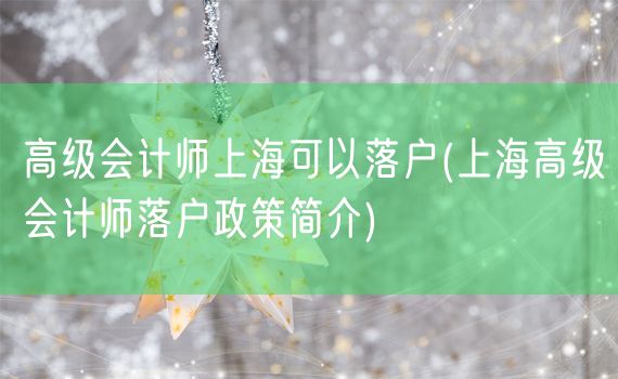 高级会计师上海可以落户(上海高级会计师落户政策简介)