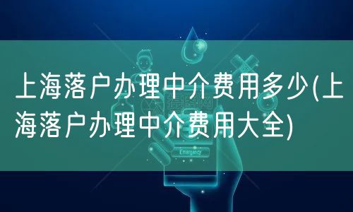 上海落户办理中介费用多少(上海落户办理中介费用大全)