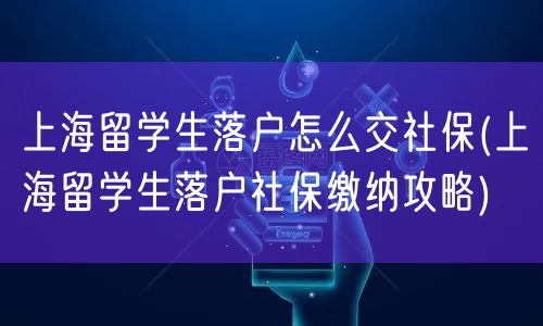 上海留学生落户怎么交社保(上海留学生落户社保缴纳攻略)