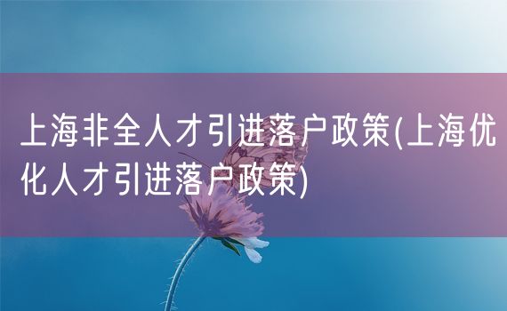 上海非全人才引进落户政策(上海优化人才引进落户政策)