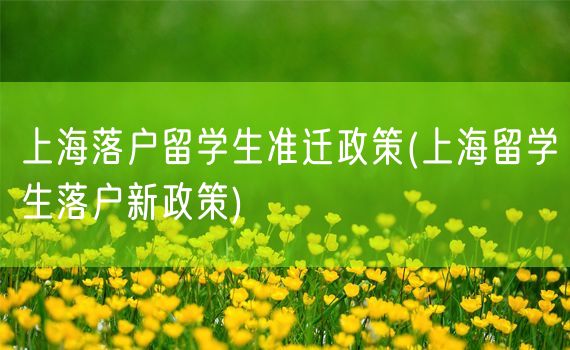 上海落户留学生准迁政策(上海留学生落户新政策)