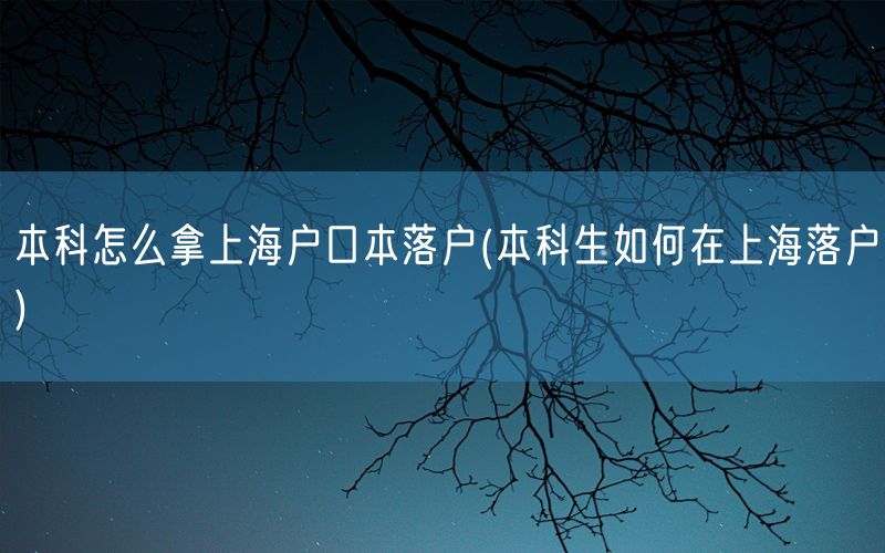 本科怎么拿上海户口本落户(本科生如何在上海落户)