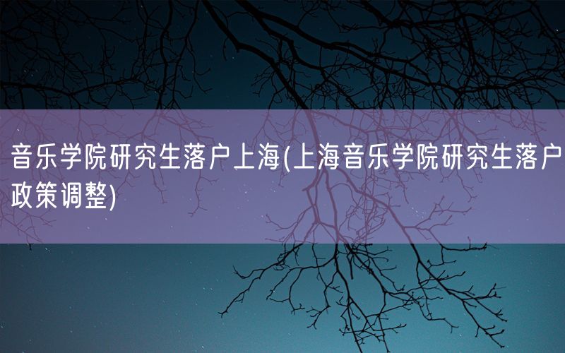 音乐学院研究生落户上海(上海音乐学院研究生落户政策调整)