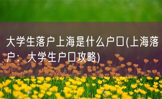 大学生落户上海是什么户口(上海落户：大学生户口攻略)