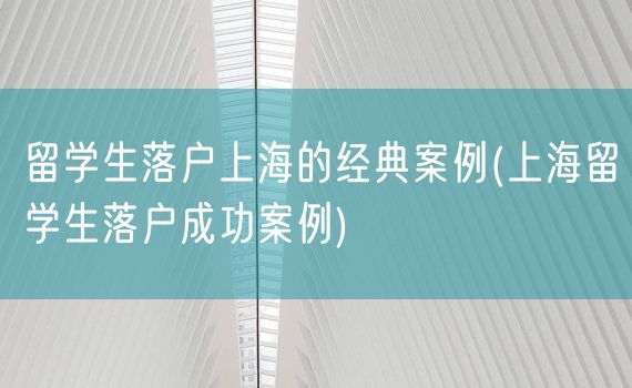 留学生落户上海的经典案例(上海留学生落户成功案例)