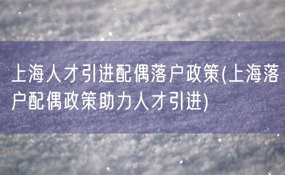 上海人才引进配偶落户政策(上海落户配偶政策助力人才引进)