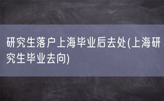 研究生落户上海毕业后去处(上海研究生毕业去向)