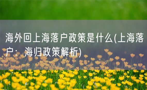 海外回上海落户政策是什么(上海落户：海归政策解析)