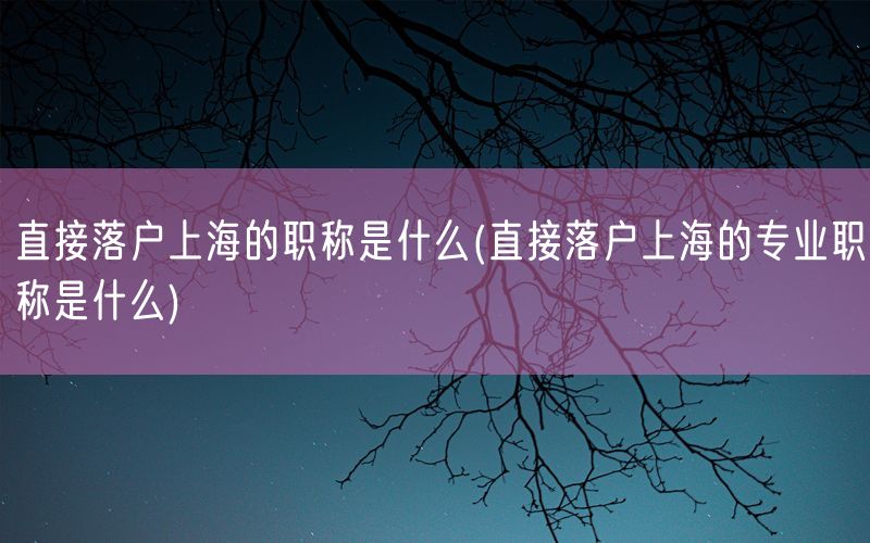 直接落户上海的职称是什么(直接落户上海的专业职称是什么)