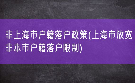 非上海市户籍落户政策(上海市放宽非本市户籍落户限制)