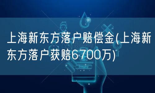 上海新东方落户赔偿金(上海新东方落户获赔6700万)