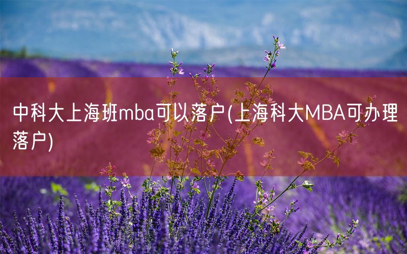 中科大上海班mba可以落户(上海科大MBA可办理落户)