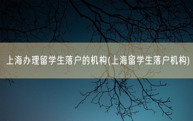 上海办理留学生落户的机构(上海留学生落户机构)