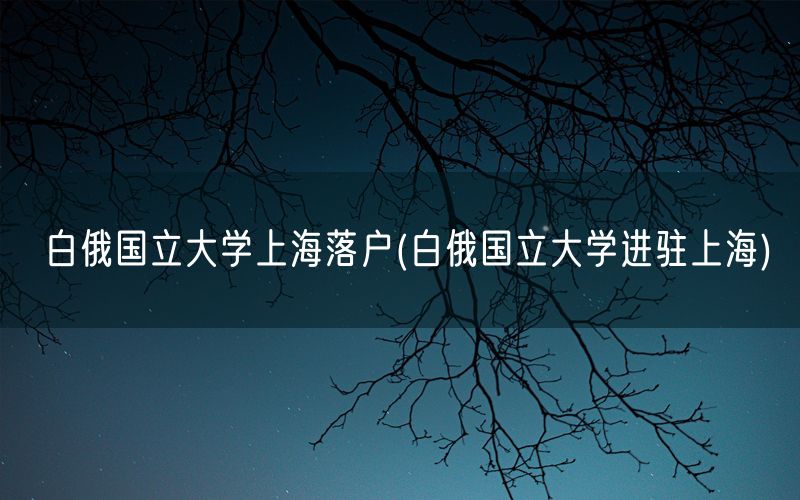 白俄国立大学上海落户(白俄国立大学进驻上海)